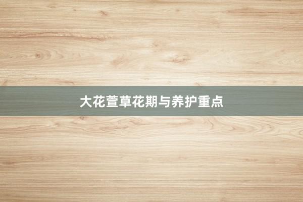 大花萱草花期与养护重点