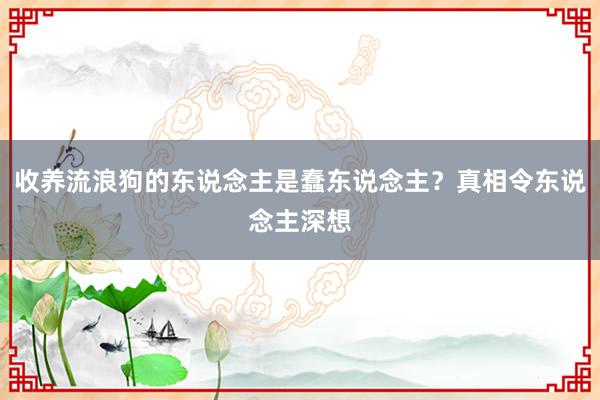 收养流浪狗的东说念主是蠢东说念主？真相令东说念主深想